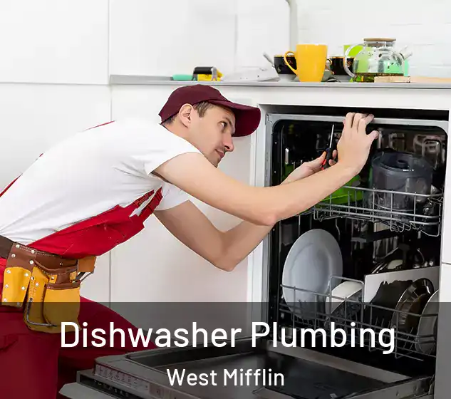  Dishwasher Plumbing West Mifflin