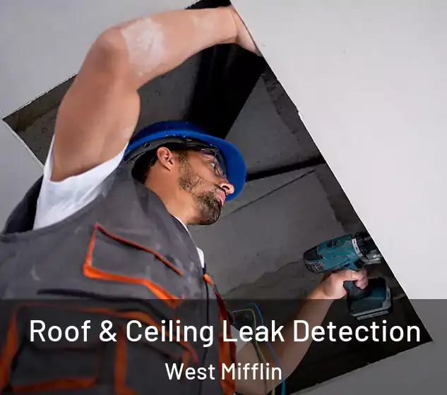  Roof & Ceiling Leak Detection West Mifflin
