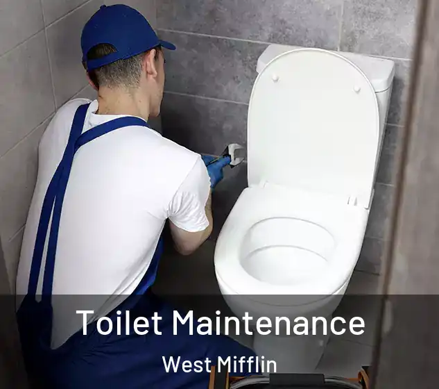  Toilet Maintenance West Mifflin